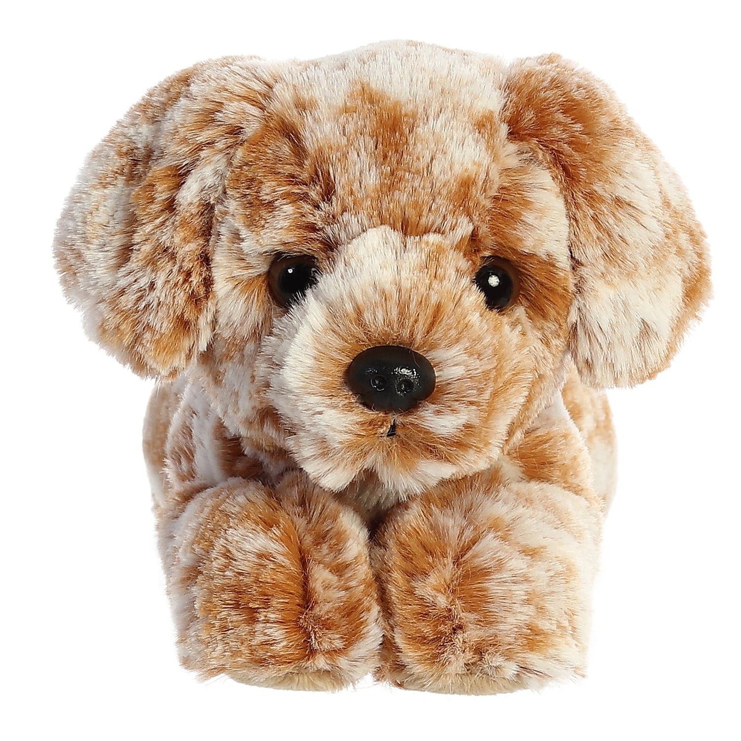 Mini Flopsie Coco Lab Plush Toy Stuffed Animal, 8 in
