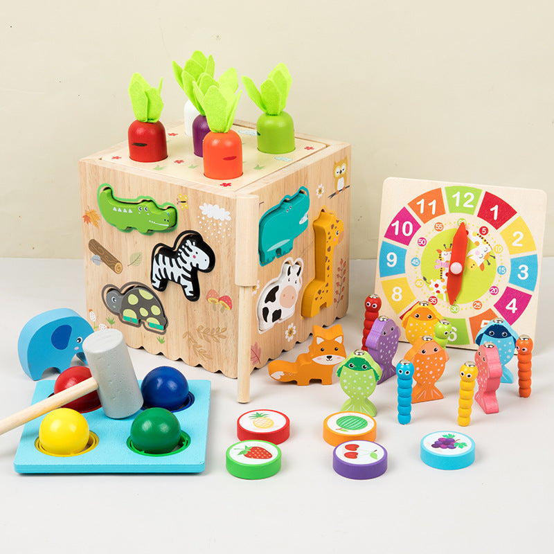 8-in-1 Wooden Montessori Activity Set