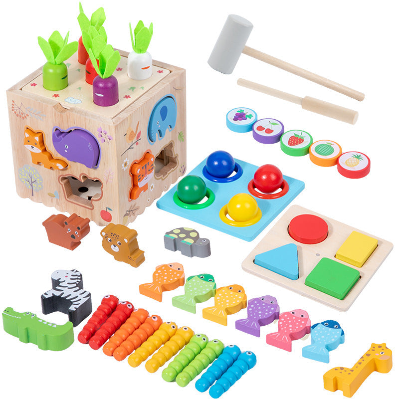 8-in-1 Wooden Montessori Activity Set
