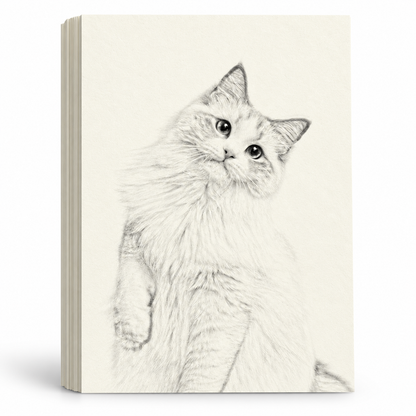 8K Blank Sketch Paper – 160 GSM
