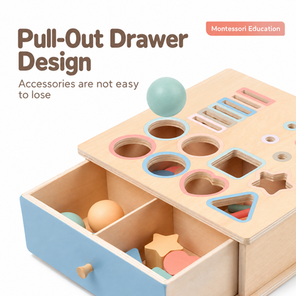 3-in-1 Montessori Sorting Box