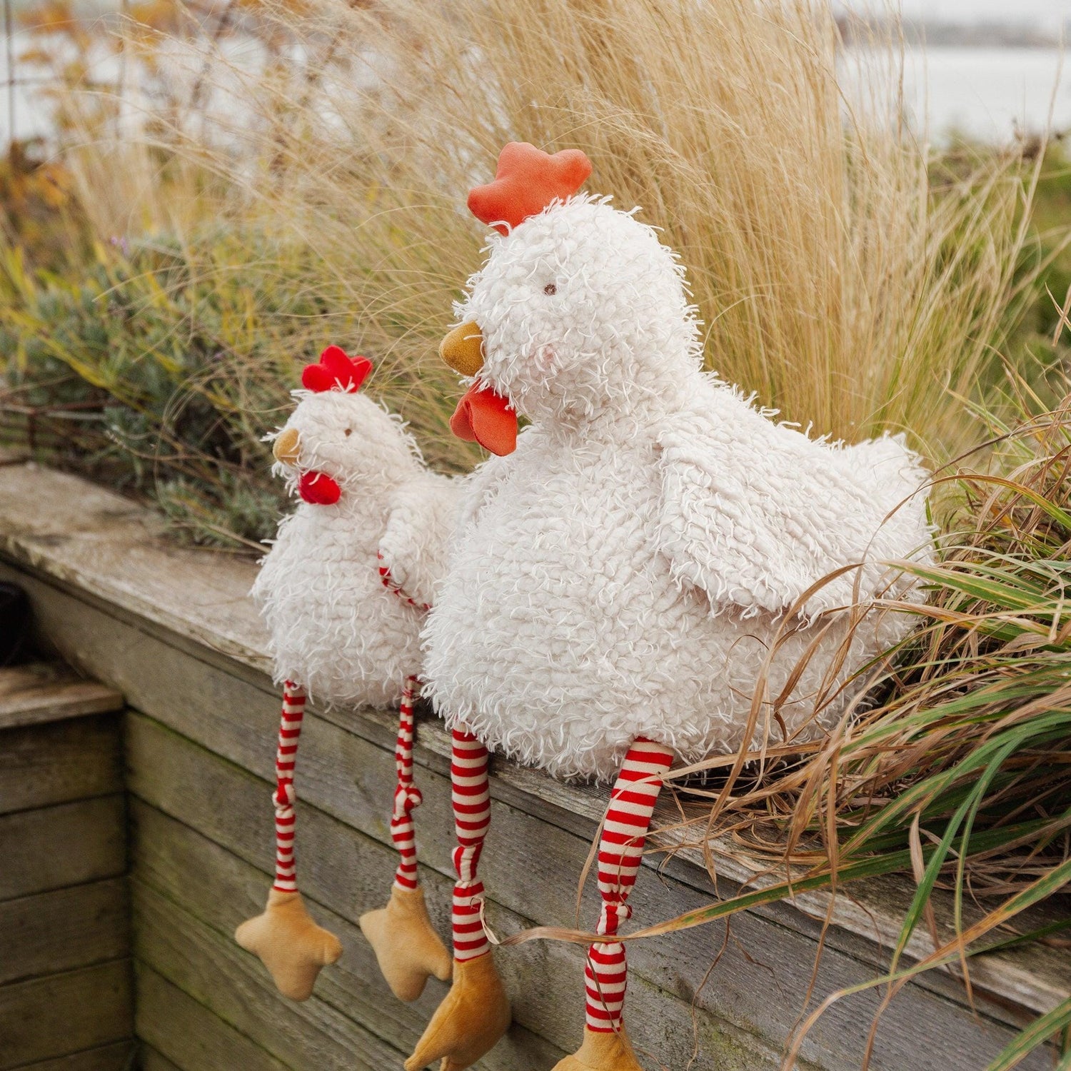Big Clucky the Chicken
