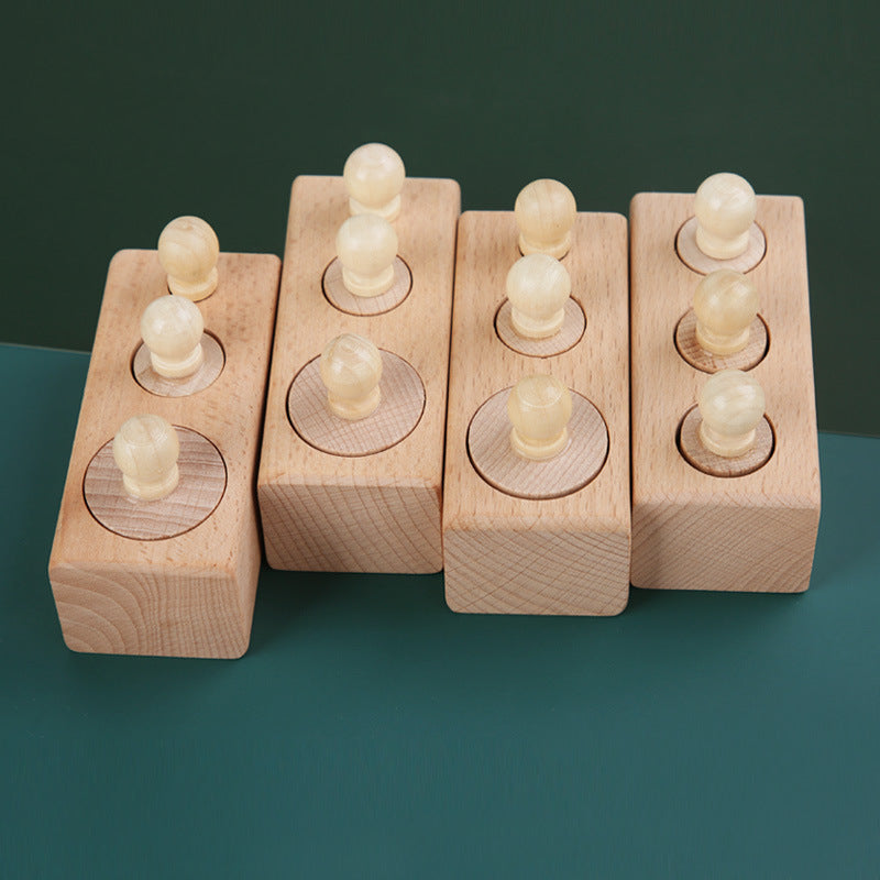 Montessori Wooden Socket Cylinder Sensory Matching Toy