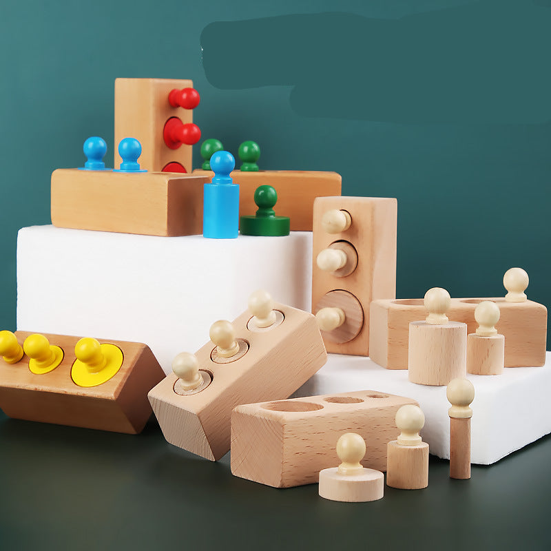 Montessori Wooden Socket Cylinder Sensory Matching Toy