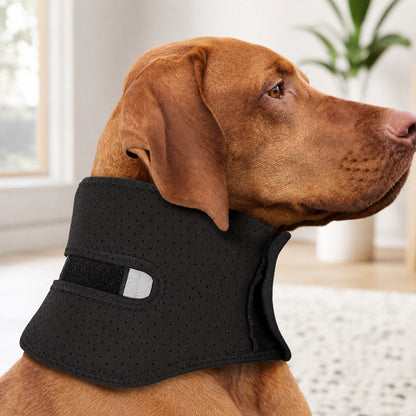 Adjustable Dog Neck Support Brace for At-Home Rest - Breathable Structured Wrap for Added Stability