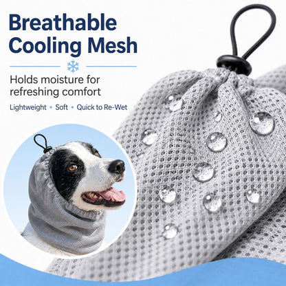 Water-Activated Dog Cooling Snood for Summer Walks - Lightweight Neck & Ear Cooler for Hot Weather, Beach Days & Long-Fur Dogs