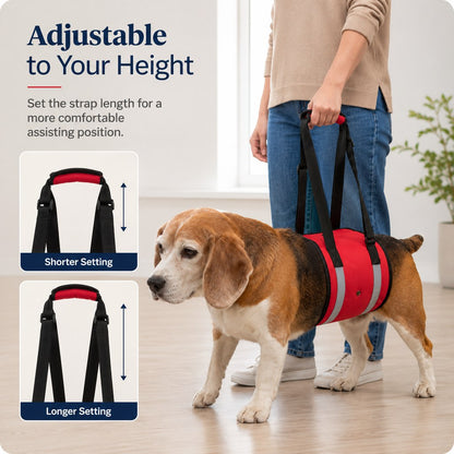 Reflective Dog Lift Support Sling - Belly Assist for Dogs with Limited Mobility on Stairs, Walks & Car Entry