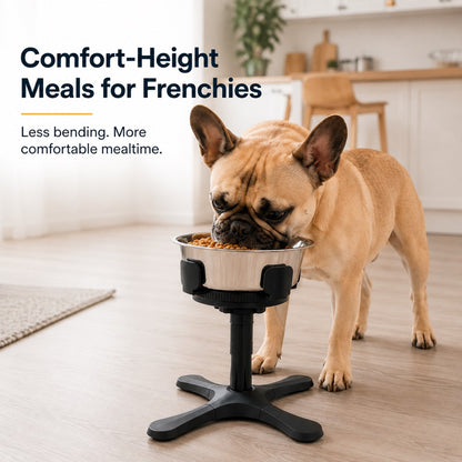 French Bulldog Adjustable Elevated Tilted Dog Bowl for Kitchen Feeding Corners - 3-Height Stand with Slow Feeder Insert to Reduce Neck Bending & Mess