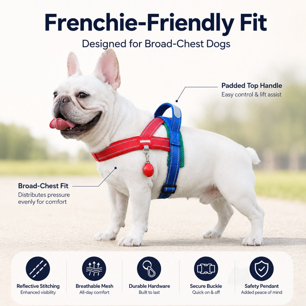 No-Choke French Bulldog Harness & Leash Set for Daily Walks - Reflective, Easy-Control Fit for Broad-Chest Dogs