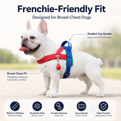 No-Choke French Bulldog Harness & Leash Set for Daily Walks - Reflective, Easy-Control Fit for Broad-Chest Dogs