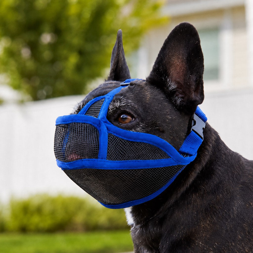 French Bulldog Breathable Mesh Muzzle for Walks, Grooming & Scavenging Control - Drink-Friendly Short-Snout Dog Muzzle