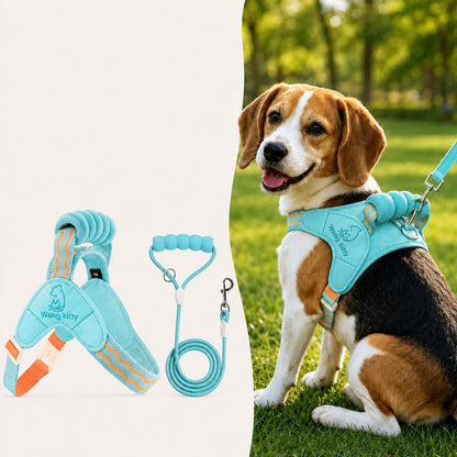 Breathable Padded Dog Harness & Leash Set for Daily Walks - Easy-Control Vest for Small & Medium Dogs