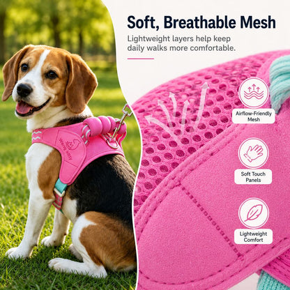 Breathable Padded Dog Harness & Leash Set for Daily Walks - Easy-Control Vest for Small & Medium Dogs