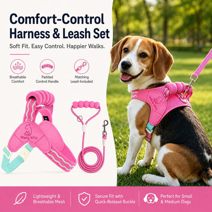 Breathable Padded Dog Harness & Leash Set for Daily Walks - Easy-Control Vest for Small & Medium Dogs