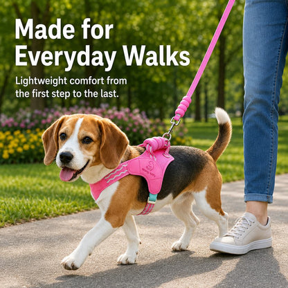 Breathable Padded Dog Harness & Leash Set for Daily Walks - Easy-Control Vest for Small & Medium Dogs