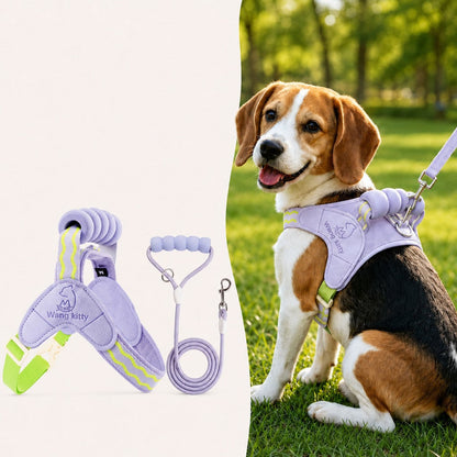 Breathable Padded Dog Harness & Leash Set for Daily Walks - Easy-Control Vest for Small & Medium Dogs