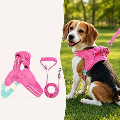 Breathable Padded Dog Harness & Leash Set for Daily Walks - Easy-Control Vest for Small & Medium Dogs