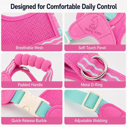 Breathable Padded Dog Harness & Leash Set for Daily Walks - Easy-Control Vest for Small & Medium Dogs