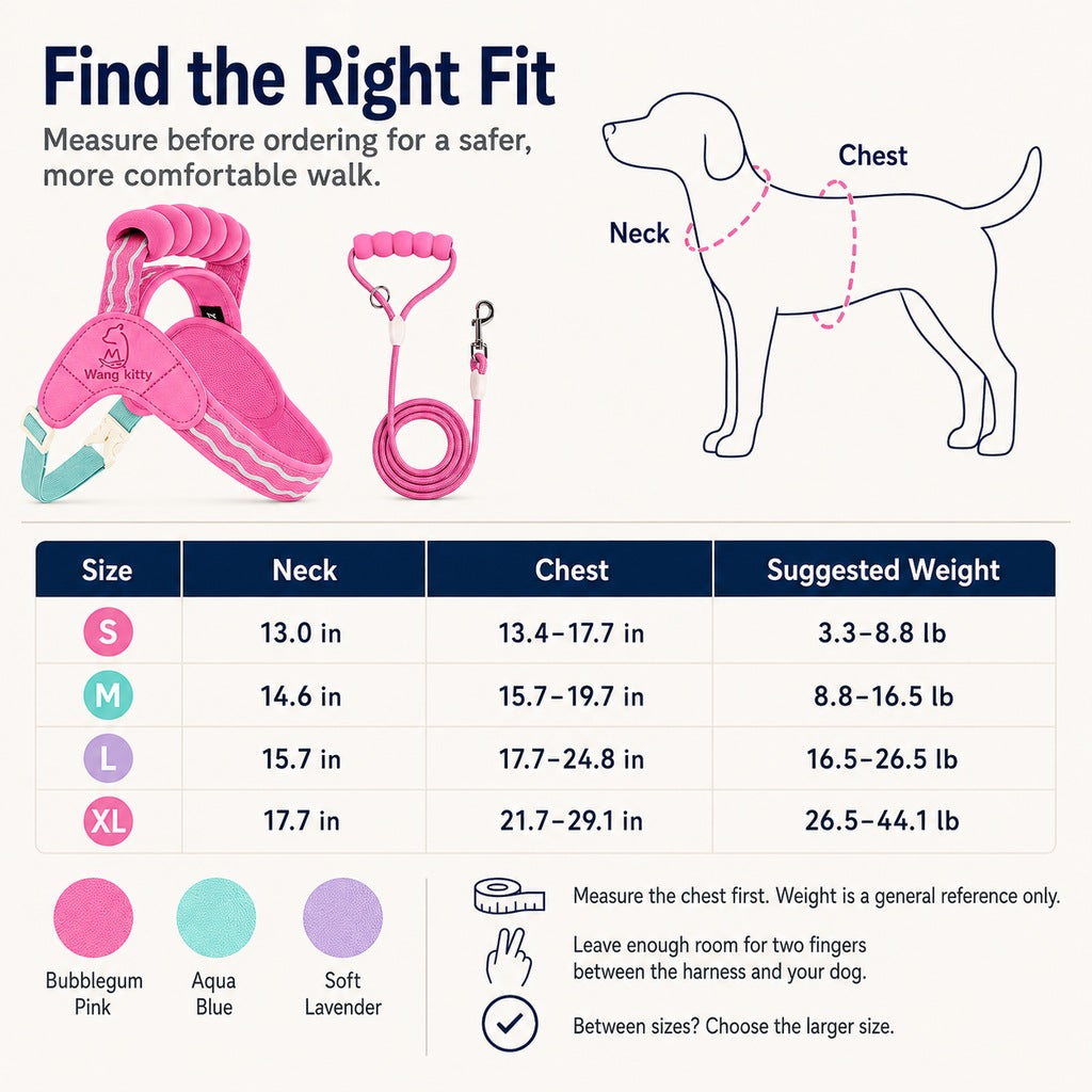 Breathable Padded Dog Harness & Leash Set for Daily Walks - Easy-Control Vest for Small & Medium Dogs