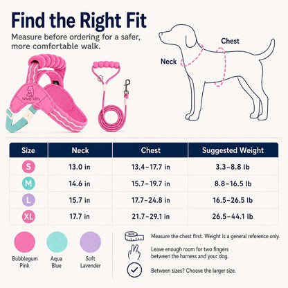 Breathable Padded Dog Harness & Leash Set for Daily Walks - Easy-Control Vest for Small & Medium Dogs