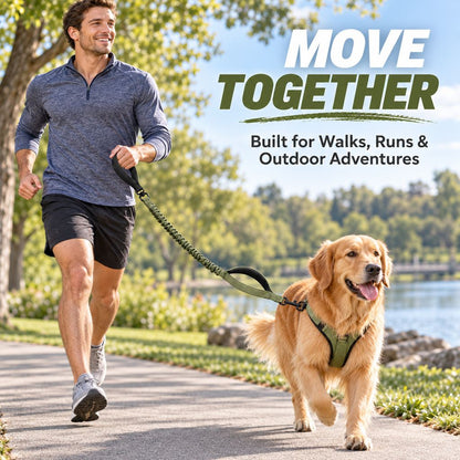 Dual Handle Shock-Absorbing Bungee Dog Leash for City Walks, Jogging & Hiking - Softer Pulls, Quick Close Control