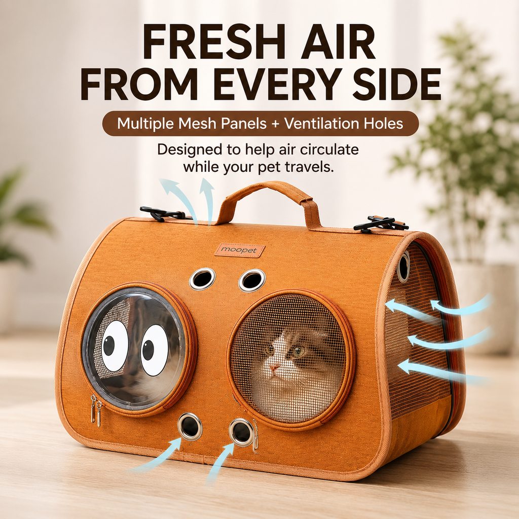 Breathable Cat Travel Carrier for Road Trips & Vet Visits - Structured Foldable Soft-Sided Pet Bag