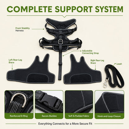 Dual Rear Leg Dog Support Brace with Harness - Walking Stability for Weak Hind Legs
