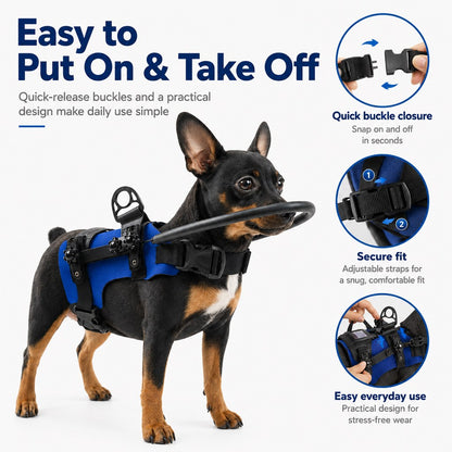 Adjustable Dog Bumper Ring Harness for Safer Home Walking - Helps Blind & Senior Dogs Avoid Wall & Furniture Bumps