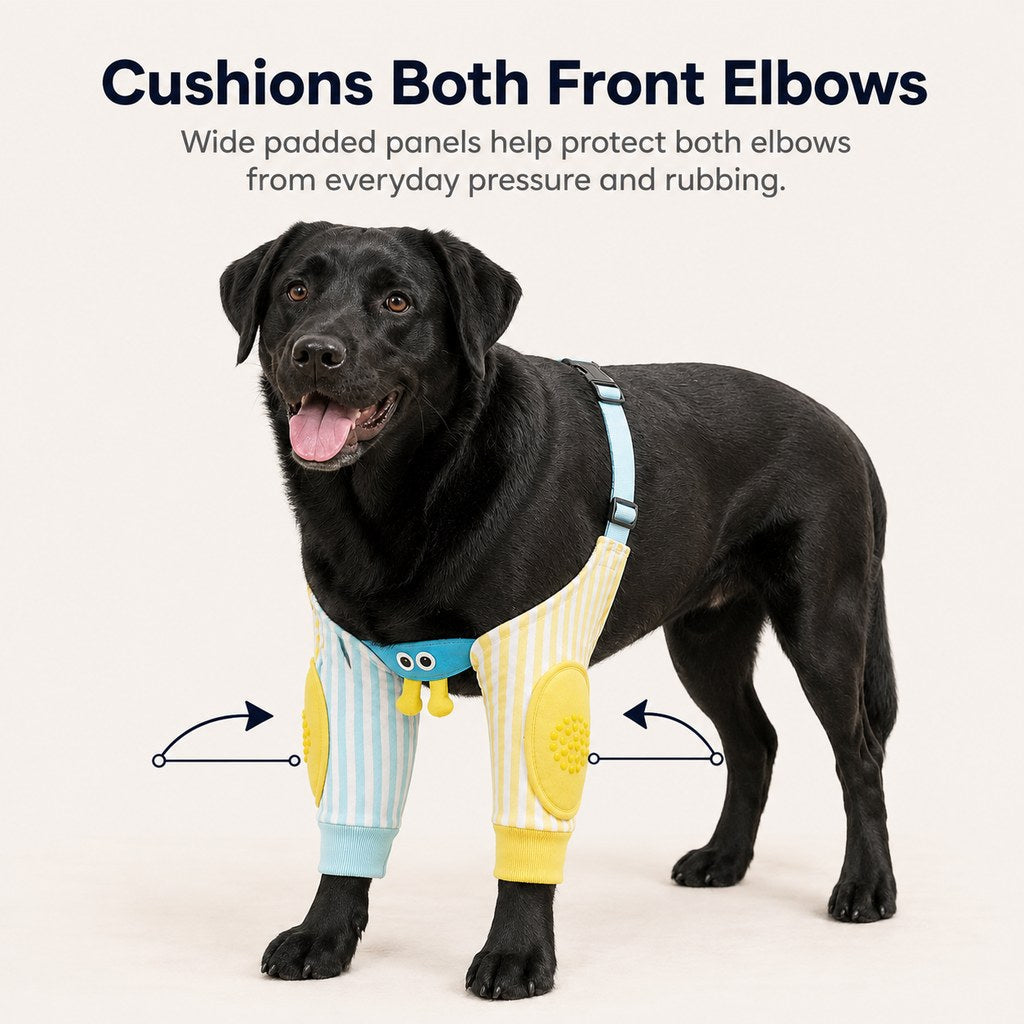 Padded Dog Elbow Protector Sleeves for Hard Floors - Dual Front-Leg Coverage for Pressure & Rubbing