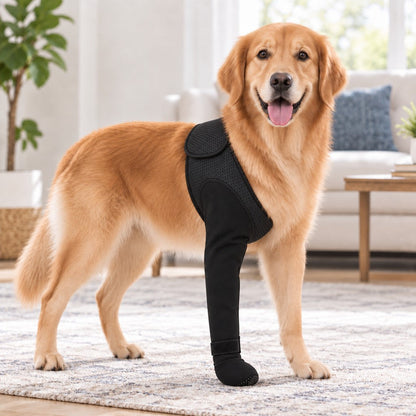 Dog Front Leg Support Brace for At-Home Recovery & Anti-Lick Protection - Full-Length Sleeve with Paw Cover