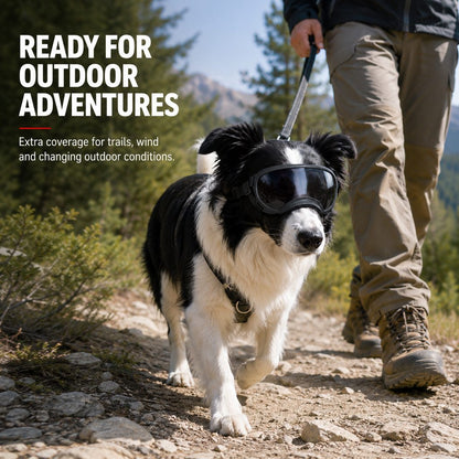 Photochromic Dog Goggles for Hiking & Car Rides - Adjustable Wind, Dust & Debris Coverage
