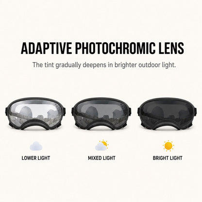 Photochromic Dog Goggles for Hiking & Car Rides - Adjustable Wind, Dust & Debris Coverage