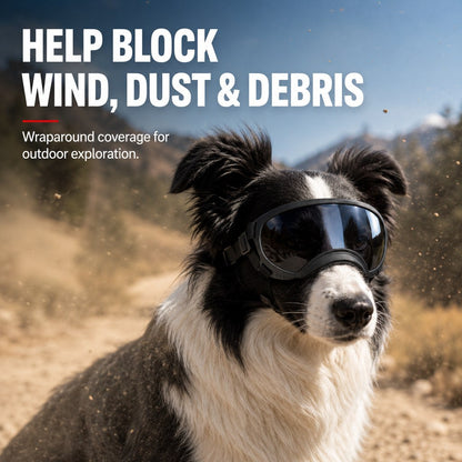 Photochromic Dog Goggles for Hiking & Car Rides - Adjustable Wind, Dust & Debris Coverage