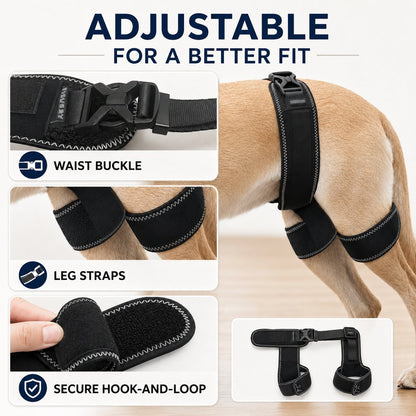Dog Hip & Rear Leg Support Brace – Adjustable Dual Hind-Leg Stability Wrap for Senior Dogs, Hardwood Floors & Daily Walks