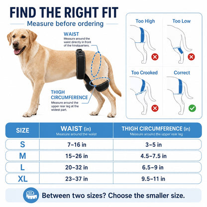 Dog Hip & Rear Leg Support Brace – Adjustable Dual Hind-Leg Stability Wrap for Senior Dogs, Hardwood Floors & Daily Walks