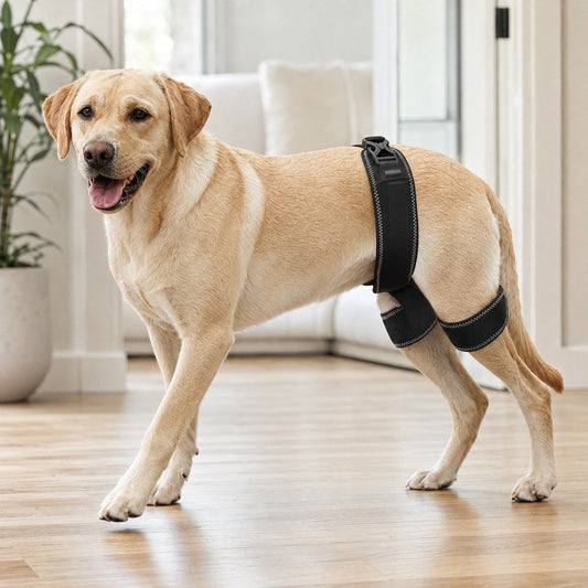 Dog Hip & Rear Leg Support Brace – Adjustable Dual Hind-Leg Stability Wrap for Senior Dogs, Hardwood Floors & Daily Walks
