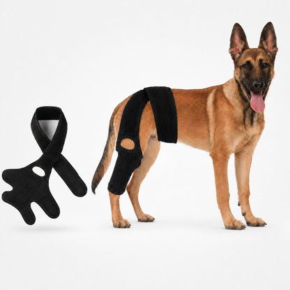 Adjustable Dog Joint Support Brace for Daily Walks & Senior Leg Stability