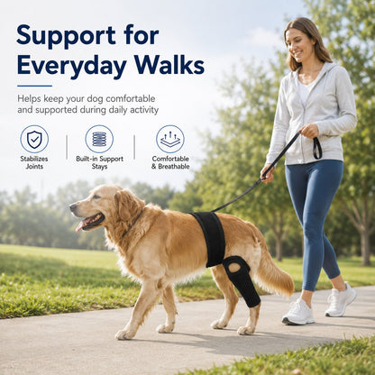 Adjustable Dog Joint Support Brace for Daily Walks & Senior Leg Stability