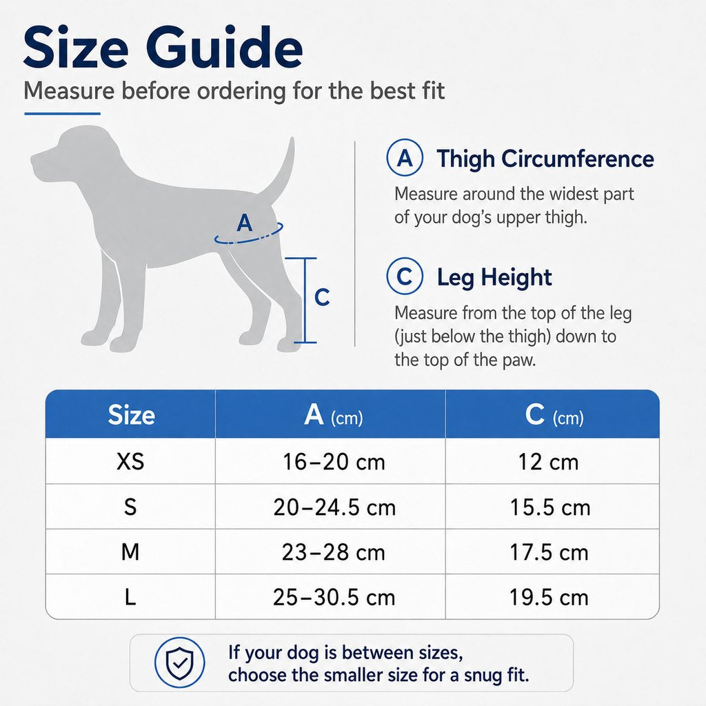 Adjustable Dog Joint Support Brace for Daily Walks & Senior Leg Stability