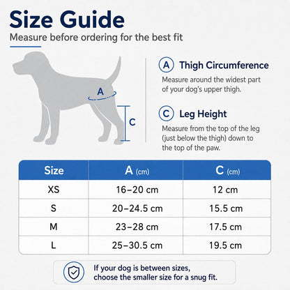 Adjustable Dog Joint Support Brace for Daily Walks & Senior Leg Stability