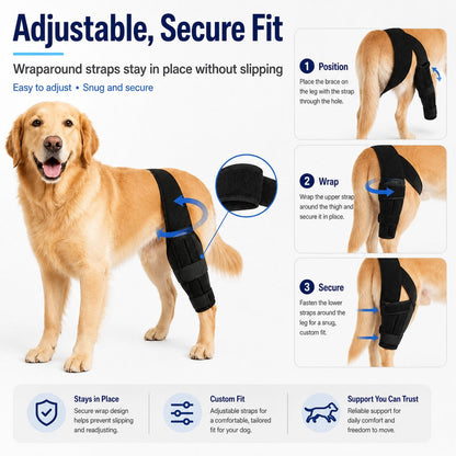 Adjustable Dog Leg Support Brace for Daily Walks - Support for Weak Front or Hind Legs