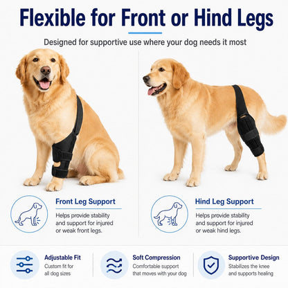 Adjustable Dog Leg Support Brace for Daily Walks - Support for Weak Front or Hind Legs