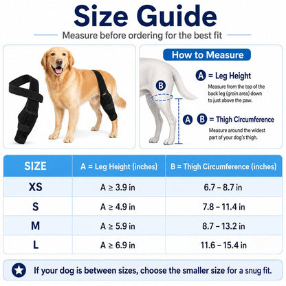 Adjustable Dog Leg Support Brace for Daily Walks - Support for Weak Front or Hind Legs