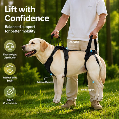 Full-Body Dog Lift Harness for Large Dogs - Front & Rear Mobility Support for Stairs, Car Ramps and Weak Hind Legs
