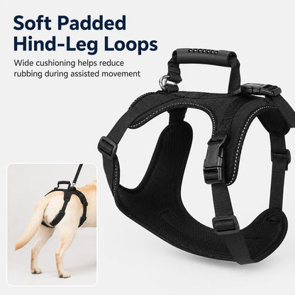 Full-Body Dog Lift Harness for Large Dogs - Front & Rear Mobility Support for Stairs, Car Ramps and Weak Hind Legs