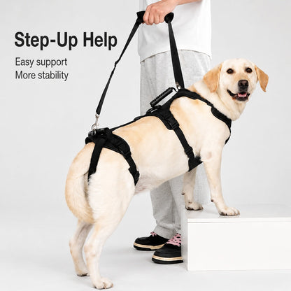 Full-Body Dog Lift Harness for Large Dogs - Front & Rear Mobility Support for Stairs, Car Ramps and Weak Hind Legs
