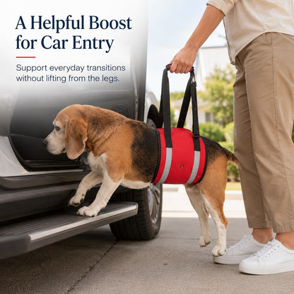 Reflective Dog Lift Support Sling - Belly Assist for Dogs with Limited Mobility on Stairs, Walks & Car Entry