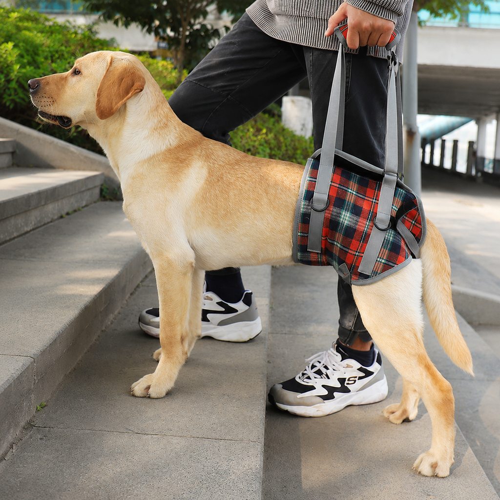 Dog Mobility Support Harness for Stairs & Cars - Front or Rear Lift Assist for Weak Legs