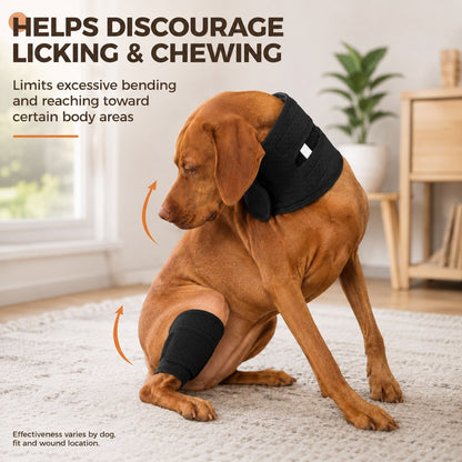 Adjustable Dog Neck Support Brace for At-Home Rest - Breathable Structured Wrap for Added Stability