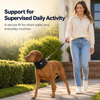 Adjustable Dog Neck Support Brace for Rest & Recovery - Breathable Cervical Collar for Limited Neck Movement